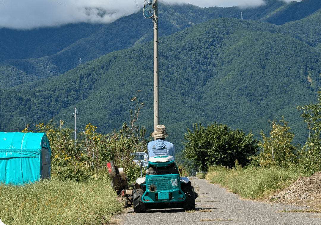 まるちゃんの自然農園