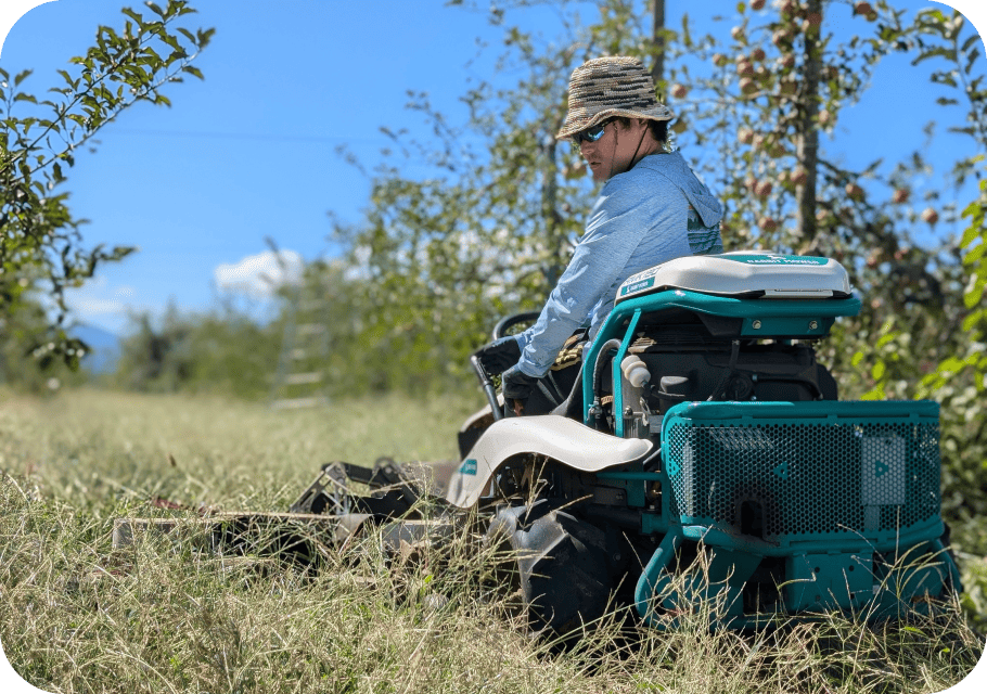まるちゃんの自然農園
