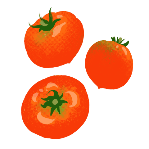 トマトのイラスト