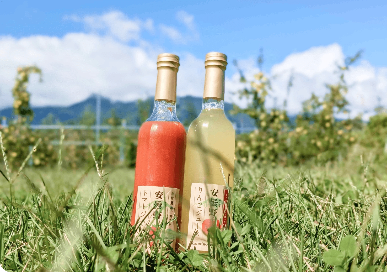 ジュースのご紹介