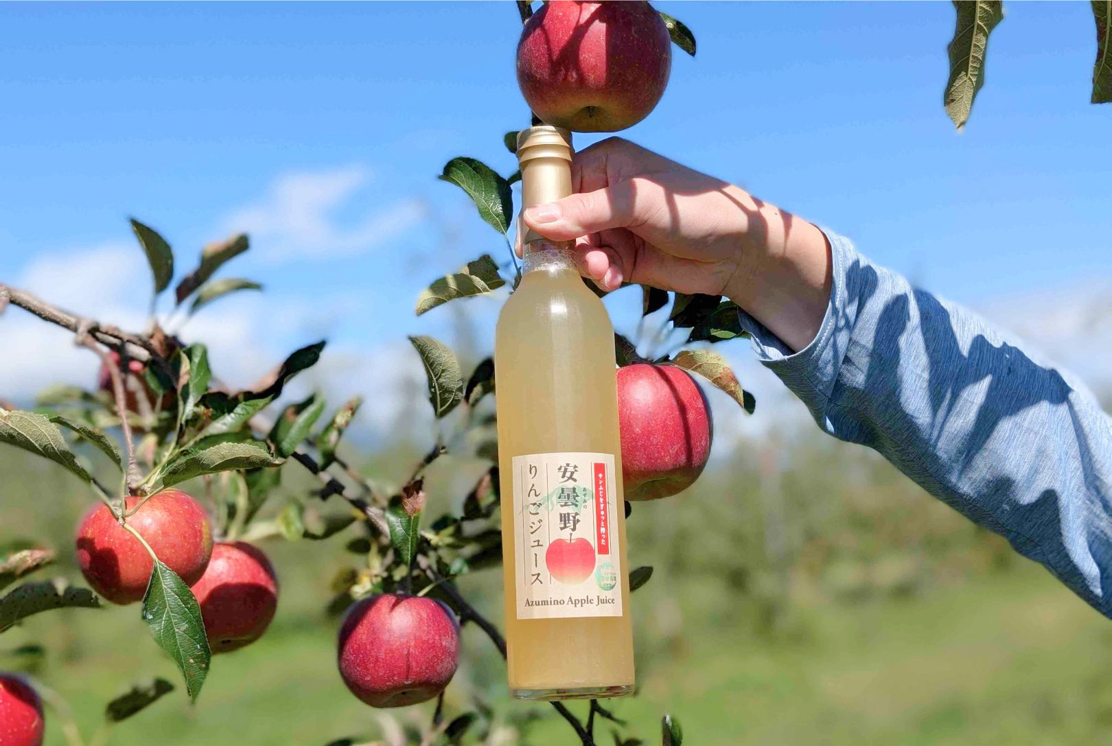 リンゴジュース